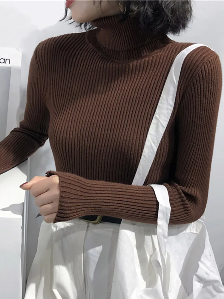 Damen Slim Fit Rollkragenpullover